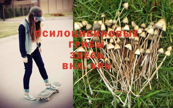 гашишное масло Аркадак