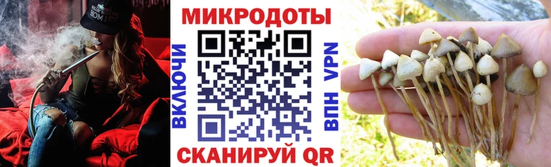 Галлюциногенные грибы ЛСД  Сольвычегодск 
