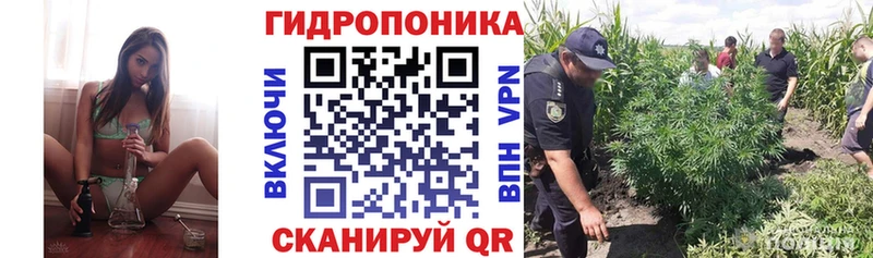 купить наркотик  Сольвычегодск  Бошки Шишки Ganja 